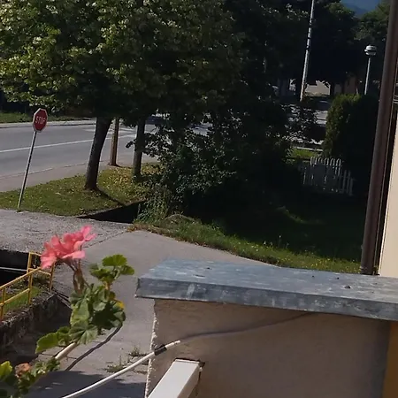 Jela Trnovo